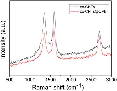 Fabrication of Antibacterial Poly(Vinyl Alcohol) Nanocomposite Films Containing Dendritic Polymer Functionalized Multi-Walled Carbon Nanotubes